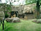 Spot the difference Lion