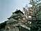 Spot the difference Osaka castle