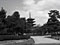 Illusion images HORYUJI2